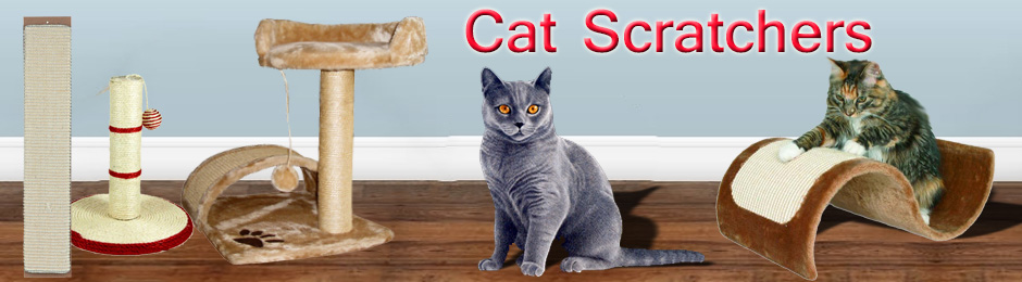 Furniture & Cat Scratchers